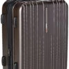 Traveler's Choice Tasmania 100% Pure Polycarbonate Expandable Spinner Luggage, Dark Brown, Carry-on 20-Inch