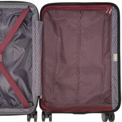 Delsey Paris Alexis Lightweight Luggage, Carry On Expandable Spinner Double Wheel Hardshell Suitcases With TSA Lock -Travelpro Shop 61PIrYptqxL abe5fa60 3c85 4535 841f 170013ebbe64
